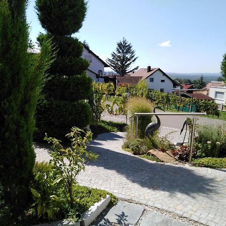 Ferienwohnung Wisser- Fernblick バート・ベリンゲン エクステリア 写真