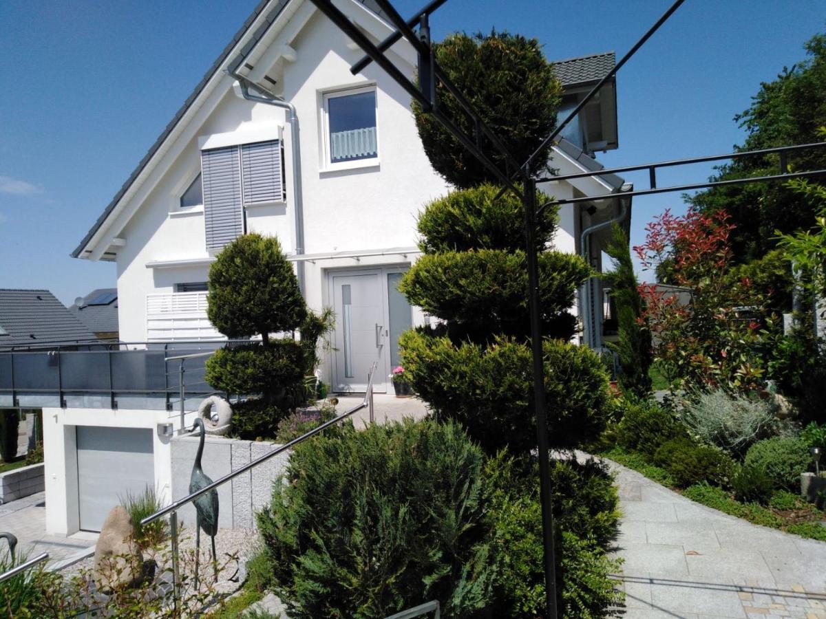 Ferienwohnung Wisser- Fernblick バート・ベリンゲン エクステリア 写真