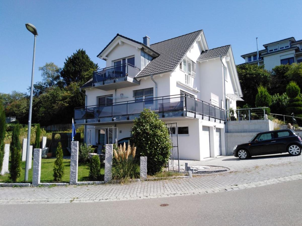 Ferienwohnung Wisser- Fernblick バート・ベリンゲン エクステリア 写真